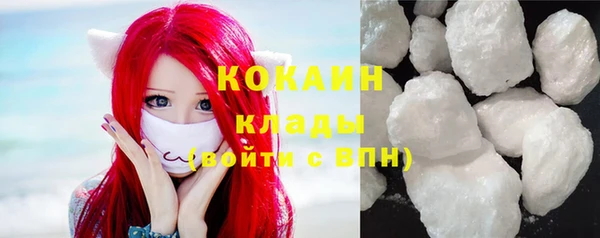 винт Верея