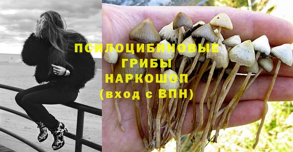 винт Верея