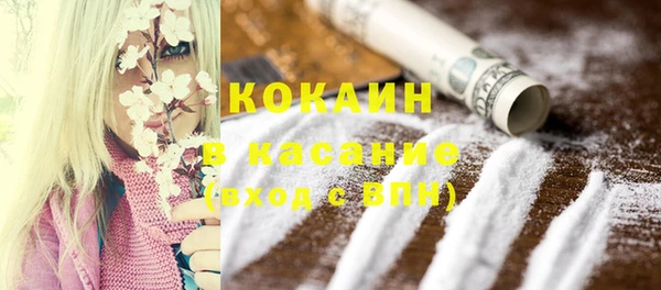 винт Верея
