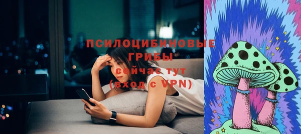 винт Верея