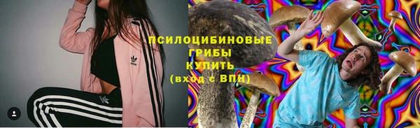 винт Верея