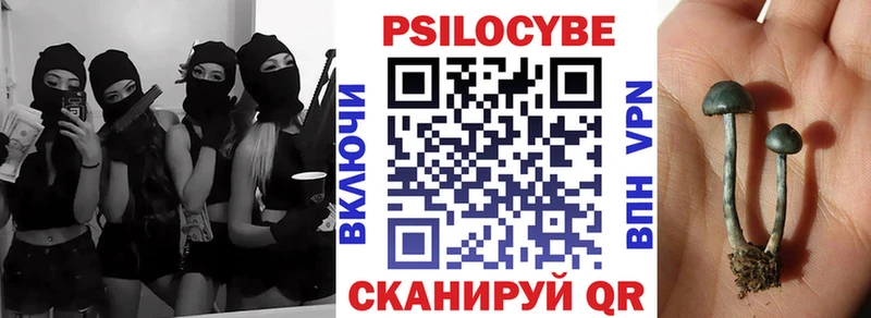 Псилоцибиновые грибы мухоморы  Гаджиево 